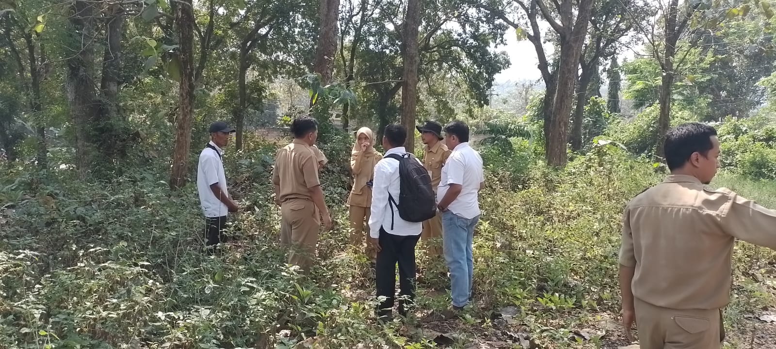 PENINJAUAN LAPANGAN SEBAGAI AKSES JALAN MASUK KE PASAR HEWAN PAMOTAN